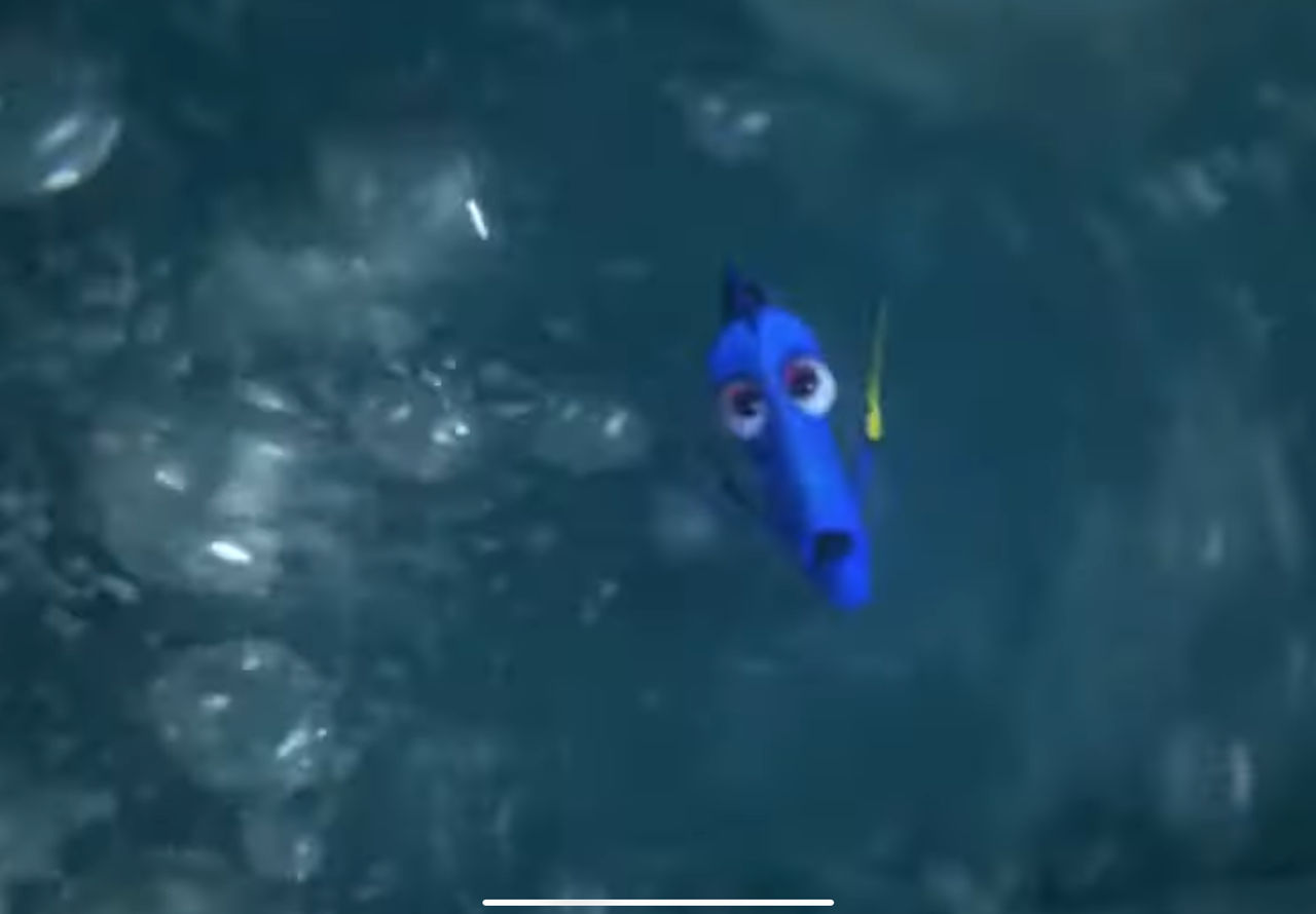 Graduating Dory Dory by EnzoAnthony on DeviantArt