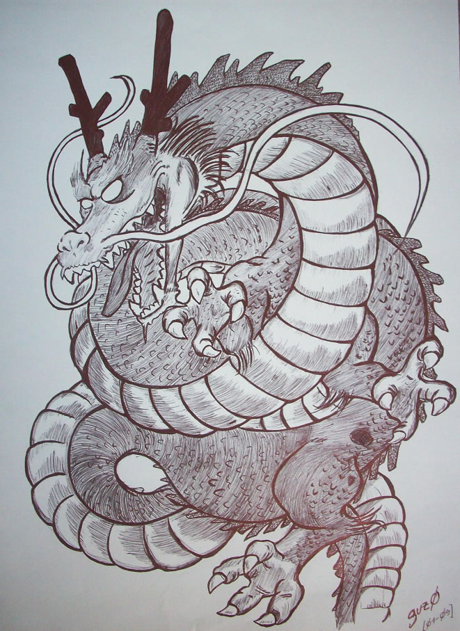 :::Shenlong:::