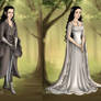 Arwen's Wardrobe from Fellowship of the Ring