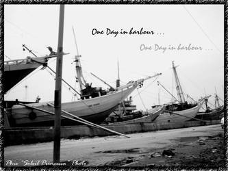 One Day in Harbour