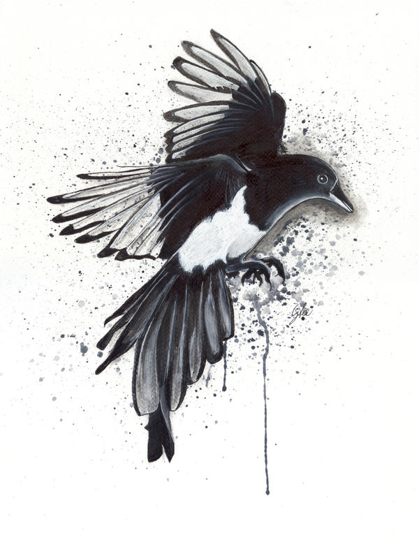 Magpie