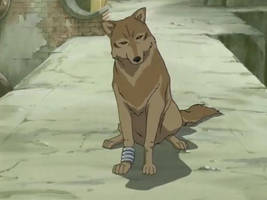 wolfs rain toboe