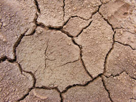 Cracked Soil