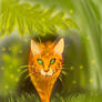 cats-warriors_Squirrelflight