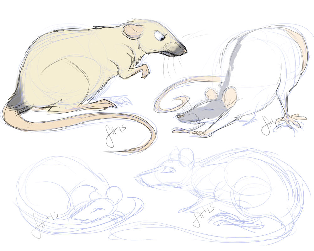 Rats By Husgryph On DeviantArt rats-by-husgryph-on-deviantart
