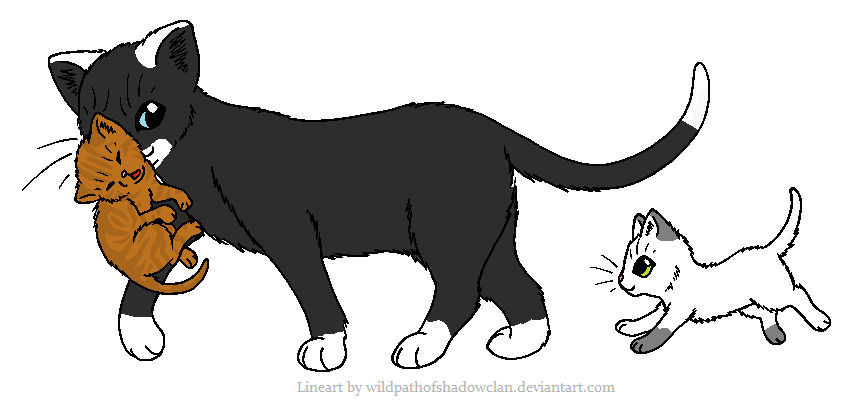 Raven and her Kits by Pumpkinburst on DeviantArt