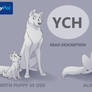 Wolf YCH 02 - OPEN