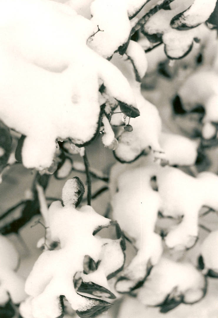 Study in Ice III by sadladybug on DeviantArt