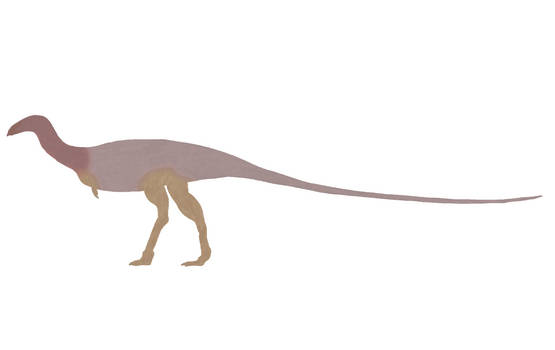 Limusaurus inextricabilis