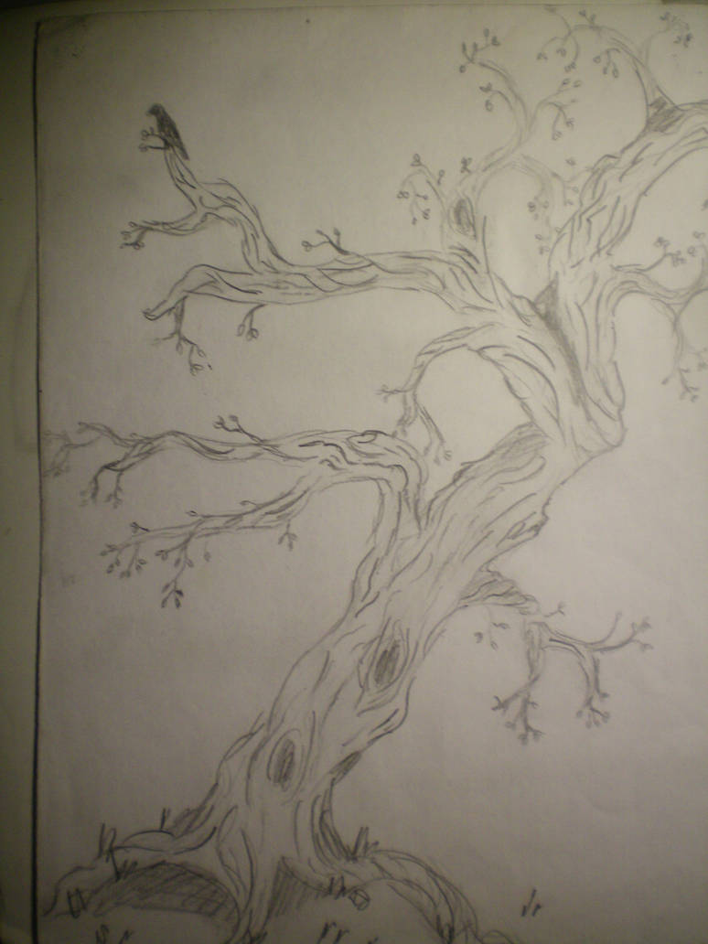 Mangled Tree Sketch by BigRedOldenburg on DeviantArt