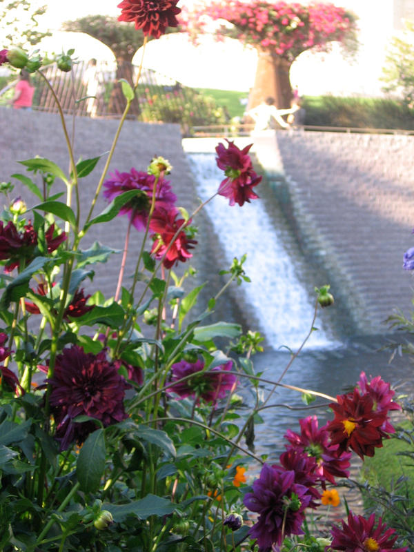 flowers and waterfall