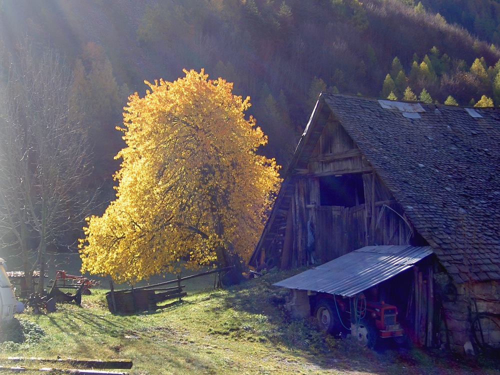 chalet de mimi