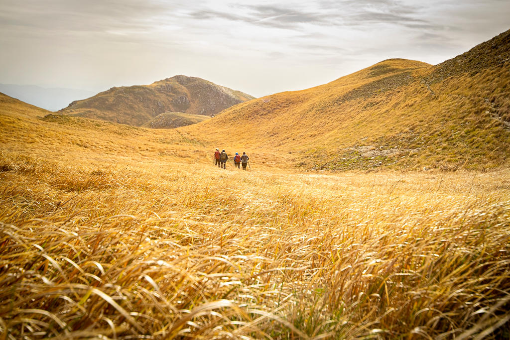 Golden fields by Donio17 on DeviantArt