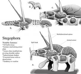 Snaiad concepts: Stegophora