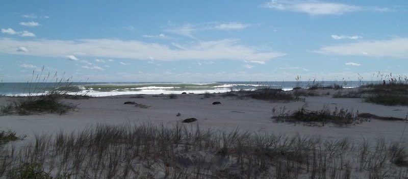 Carolina Beaches