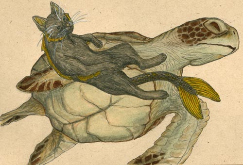 Merfeline and Sea turtle