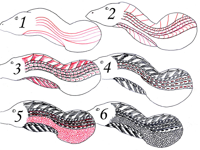Dragon Scales Tutorial B by layra on DeviantArt