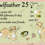 Owlfeather refsheet