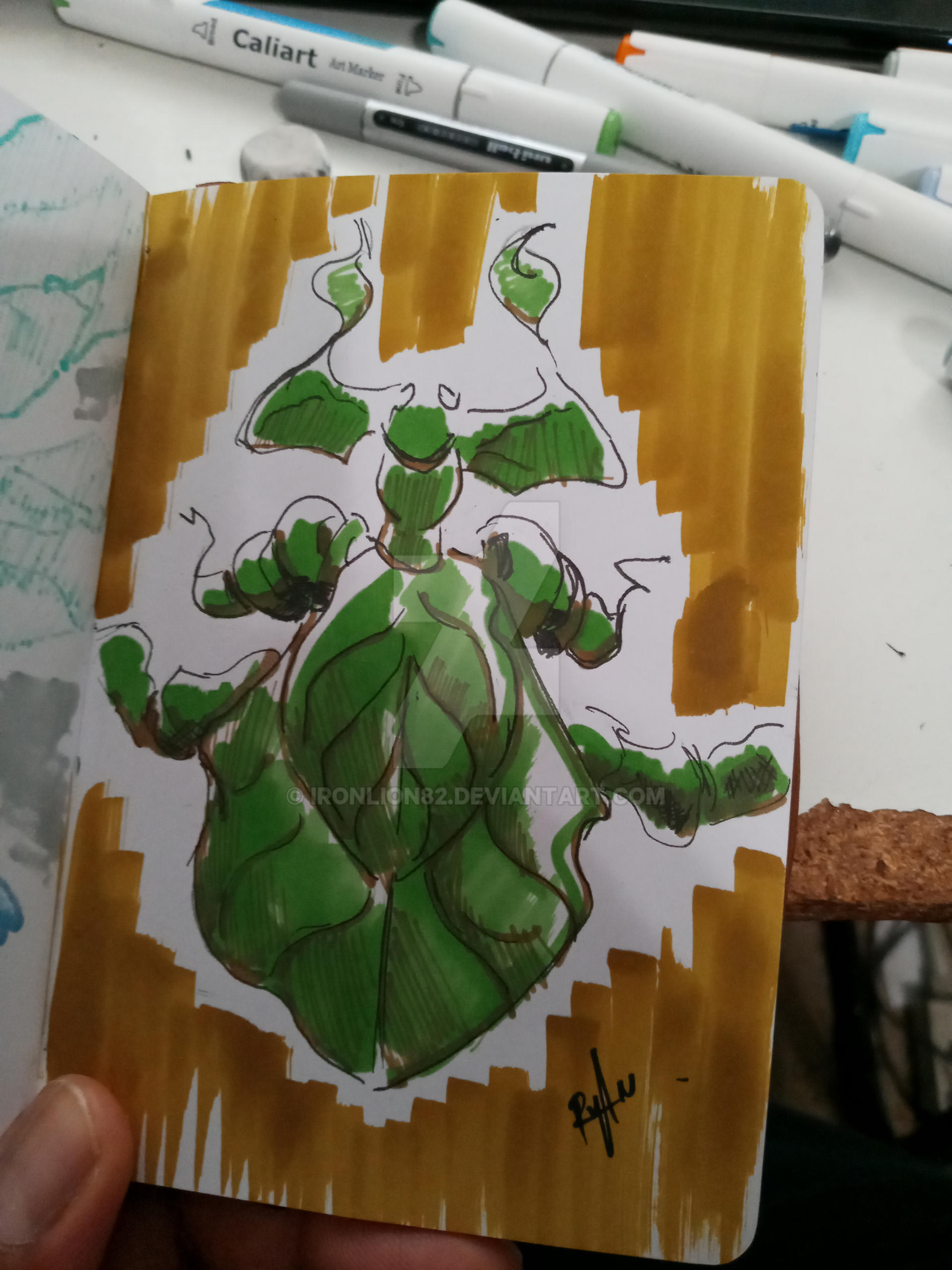Leaf Insect Scetch Leaf bug sketch by IronLion82 on DeviantArt