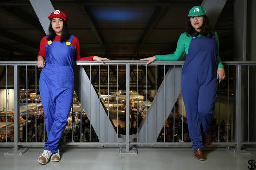 Super Mario e Super luigi sisters