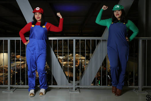 Super Mario Luigi2