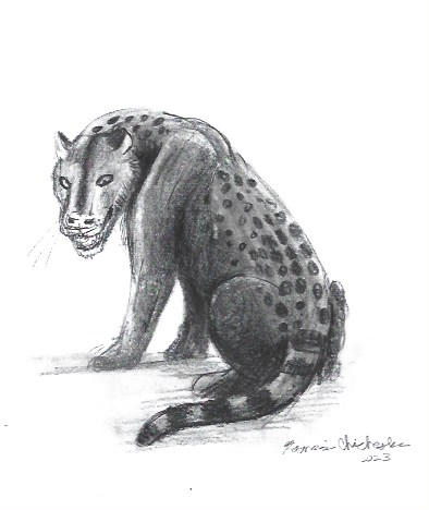 Q is for Quercylurus by Chichesterraptor99 on DeviantArt