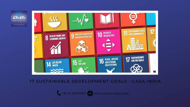 list of sustainable development goals 17