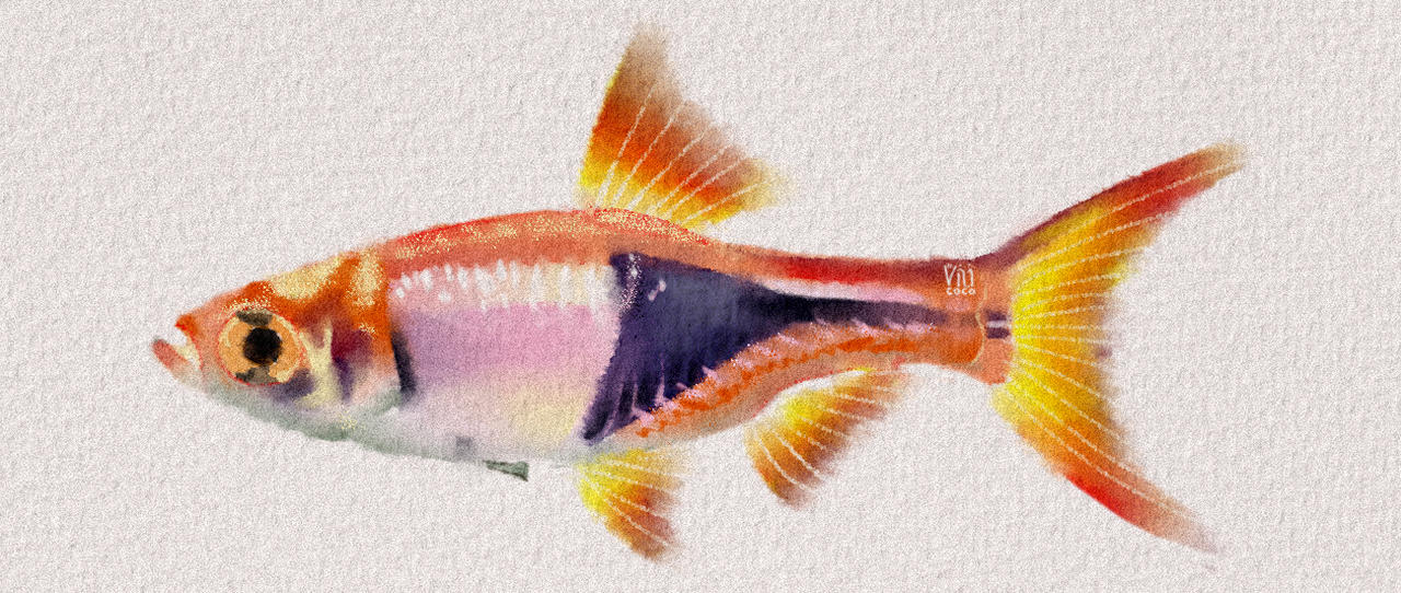 Radom Fish here's a random fish by artbyvilicoco on DeviantArt