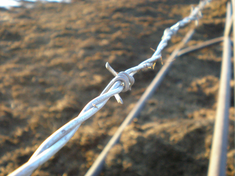 Barb Wire by BlackLotus99 on DeviantArt