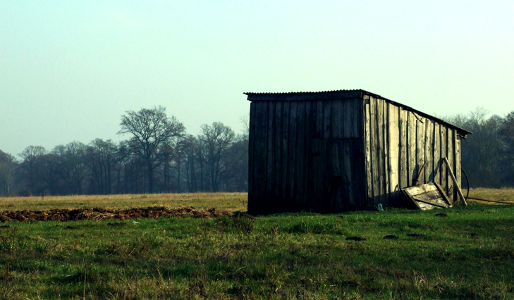 Shed