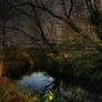 River - Rzeka 5