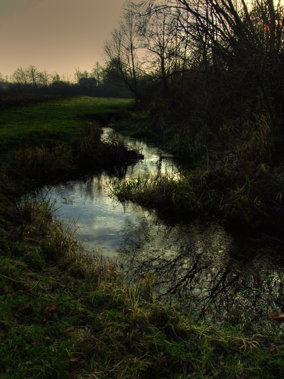 River - Rzeka 9