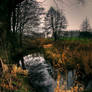 Dark river