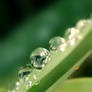 Drops 2