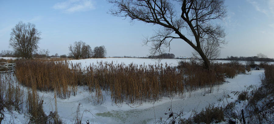 Frozen river