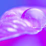 Drop - Kropla 17