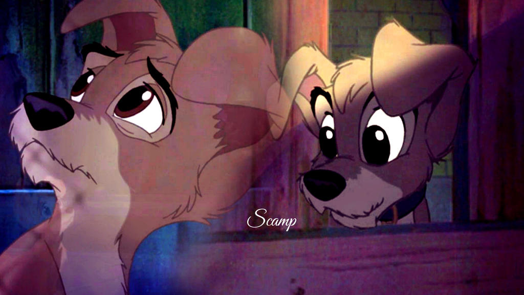 Scamp. by carnivalwoods3 on DeviantArt