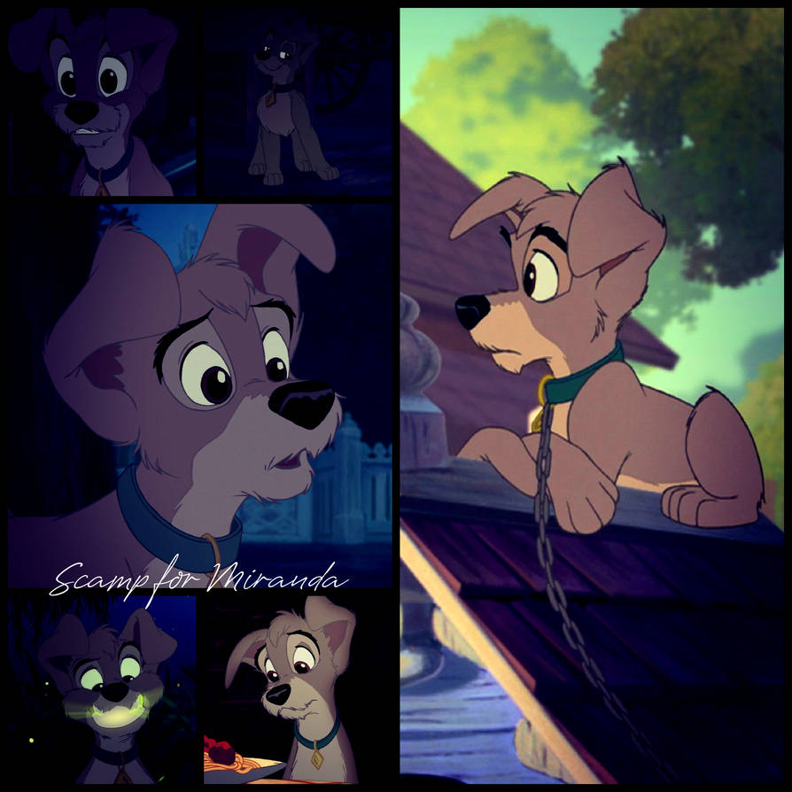 Scamp~for Miranda. by carnivalwoods3 on DeviantArt