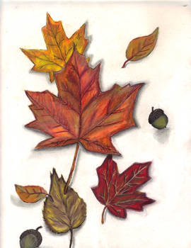 prismacolor leaves