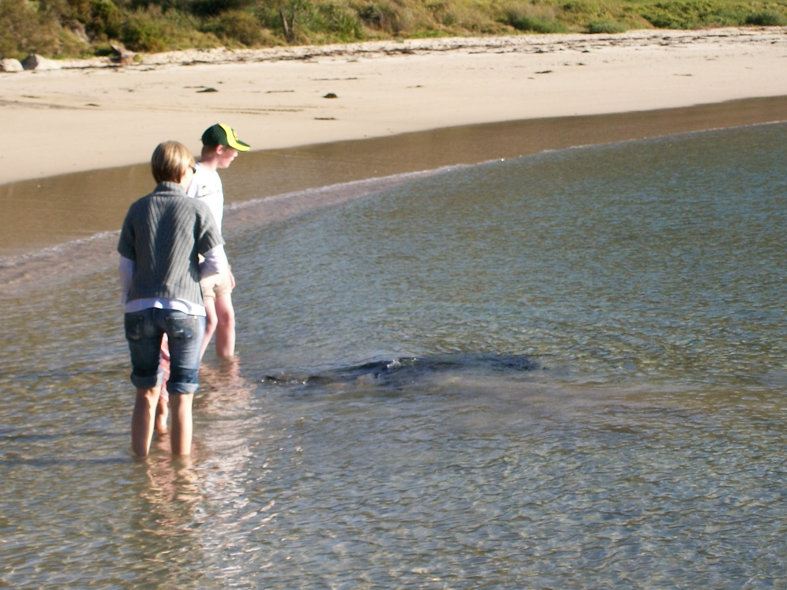 me with sting ray