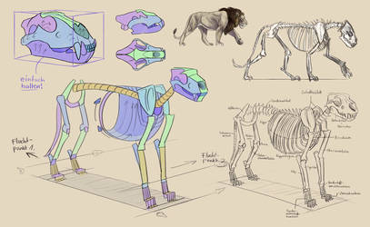 lion skeleton worksheet