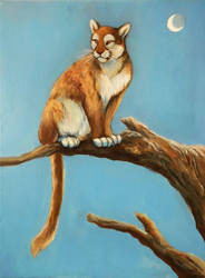 Cougar Painting