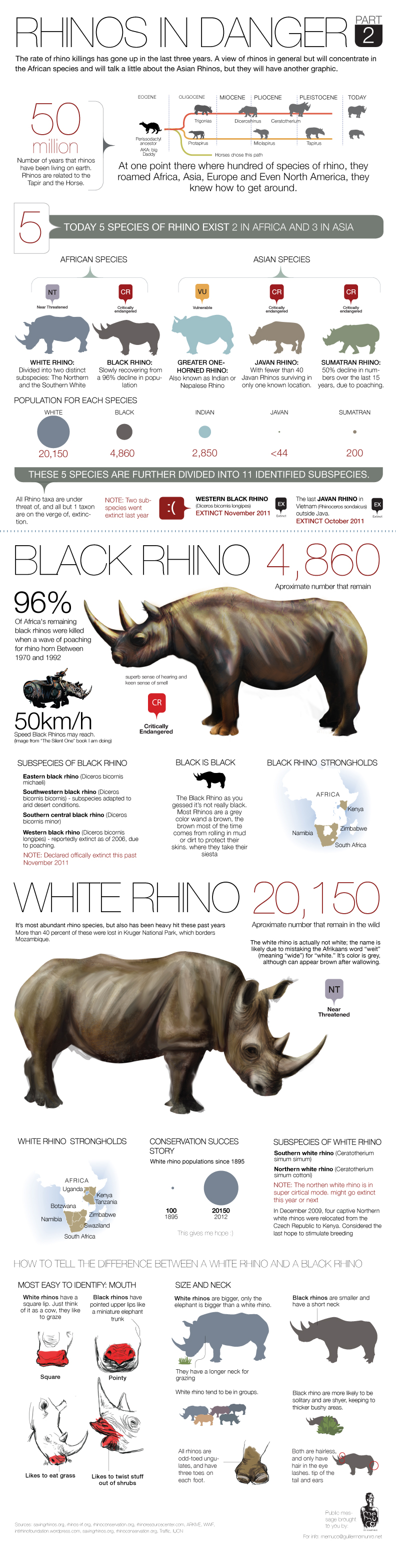 RHINO POACHING part2