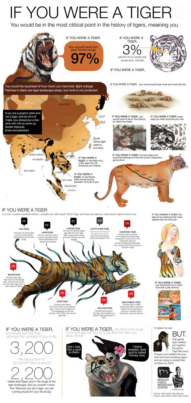 IF YOU WHERE A TIGER by memuco