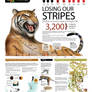 LOSING OUR STRIPES Done for WWF