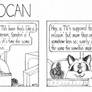 Roocan Strip 372