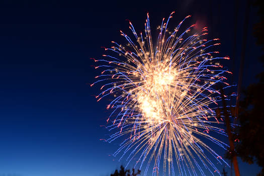 Fireworks, Blue and Gold Double Burst