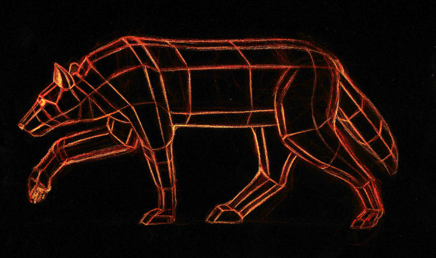 Wolf Reverse Split Wolf Structure Inverted by CreativeSpark on DeviantArt