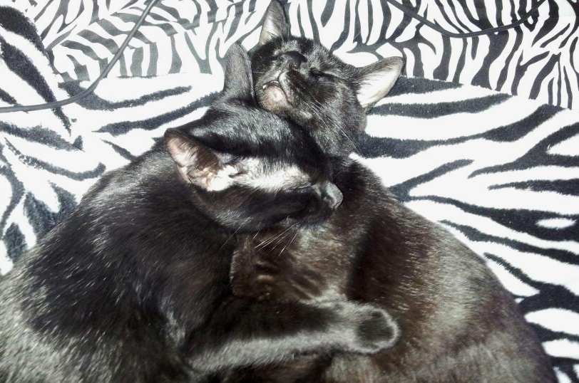 Hugging In Their Sleep