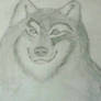 wolf drawing I did long ago